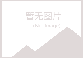 重庆忆山会计有限公司